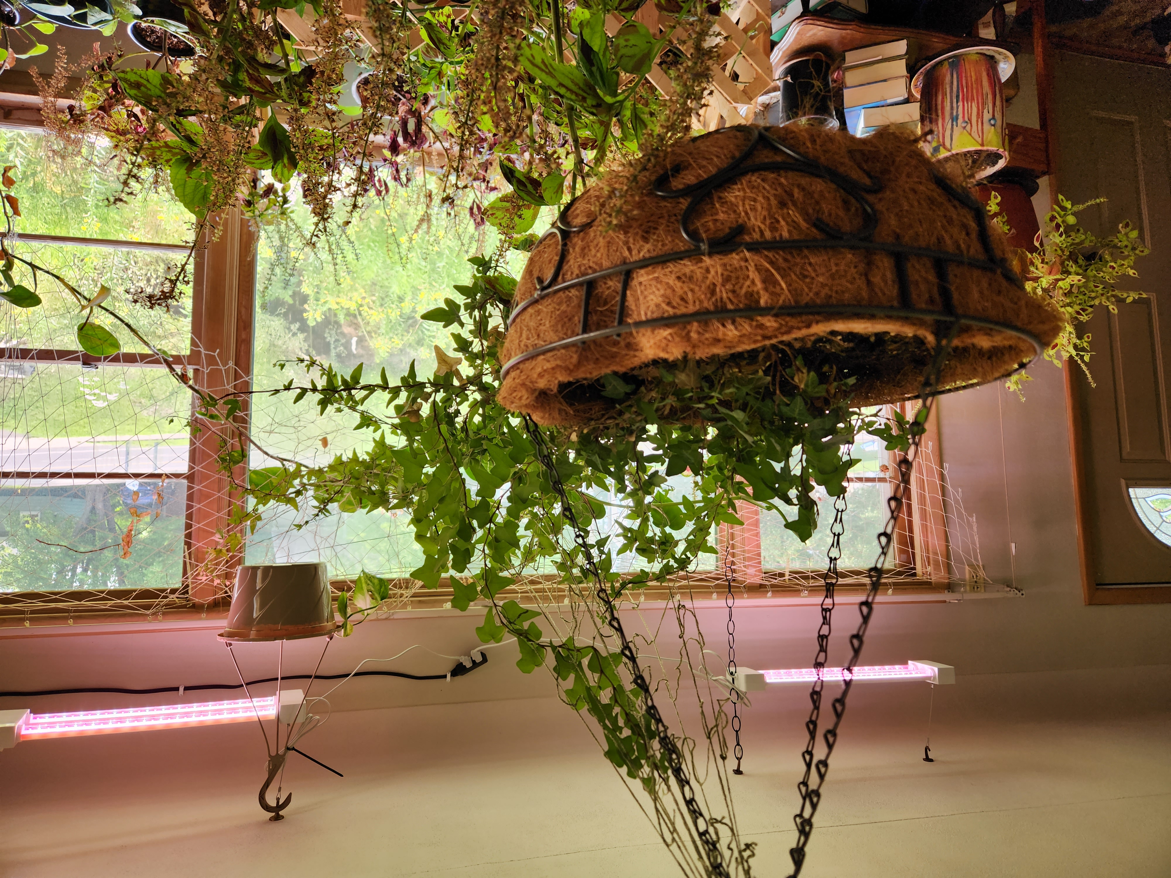 Indoor Greenspace
