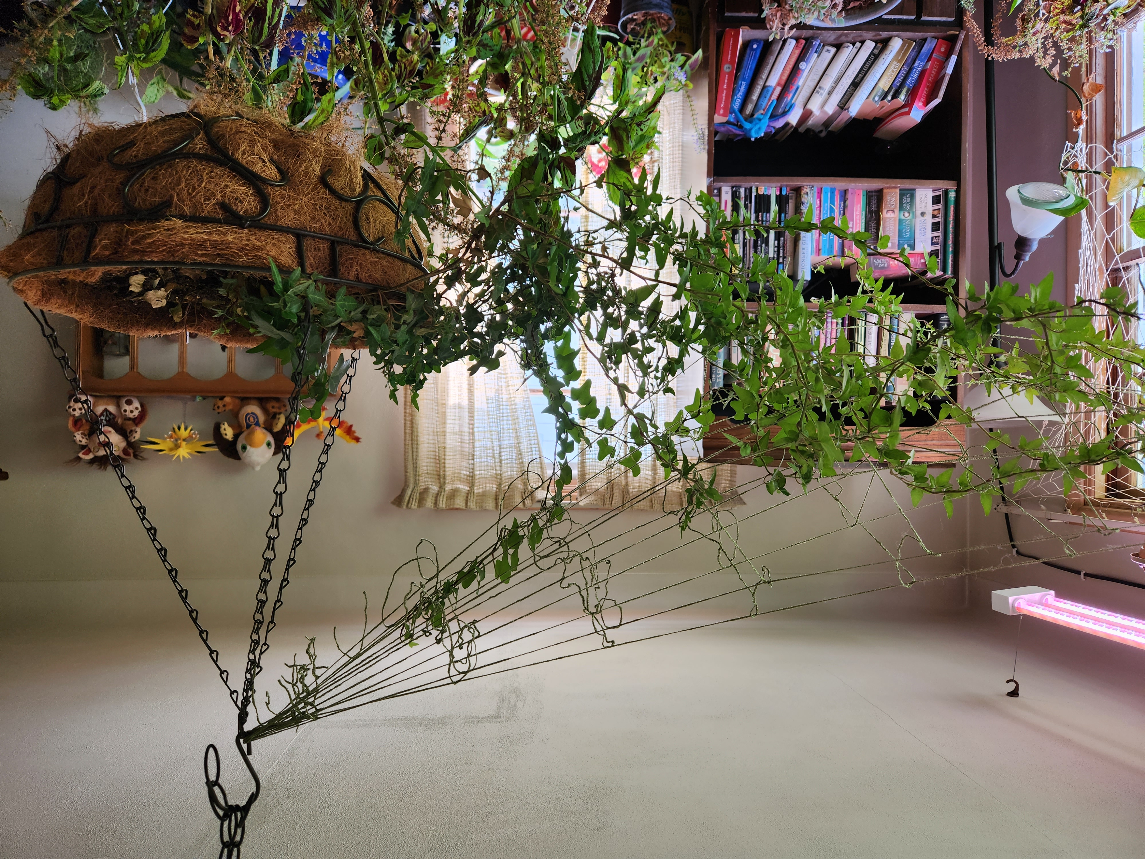 Indoor Greenspace